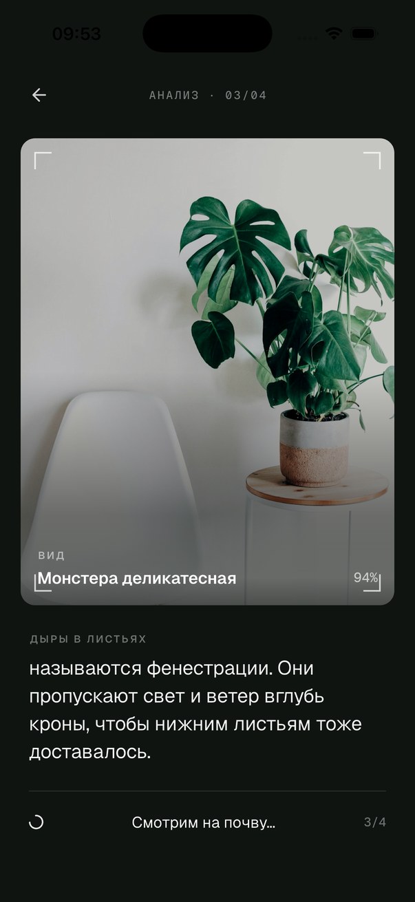 Экран результата диагностики FloriZen внутри рамки iPhone.