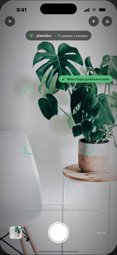 Экран камеры FloriZen сканирует лист комнатного растения.
